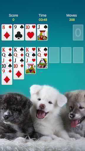 Solitaire - Classic Card Games_12