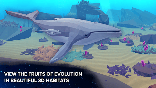 Cell to Singularity: Evolution_4