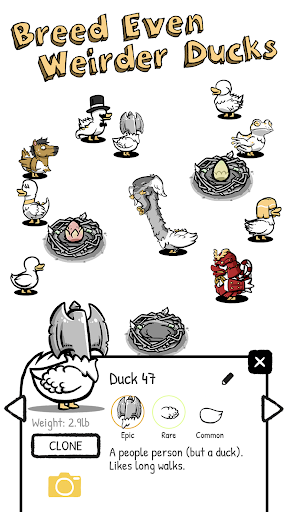 Clusterduck_13